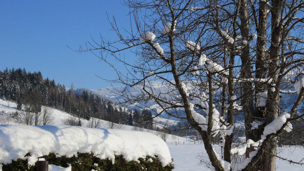 Ramseiderhof Apartment Saalfelden ภายนอก รูปภาพ